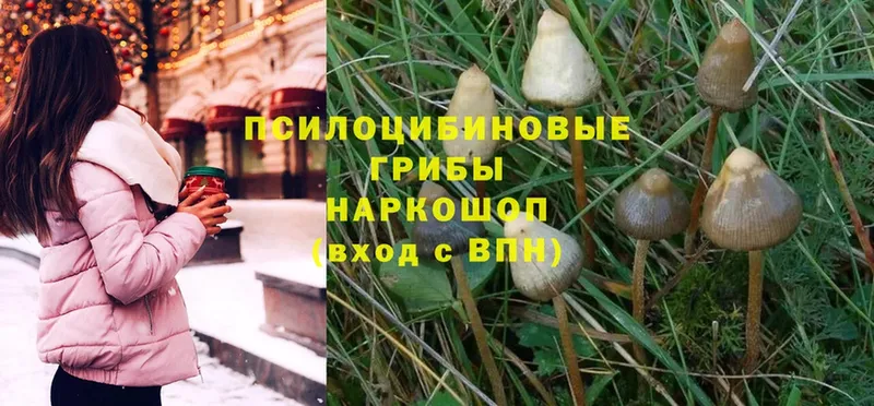 ссылка на мегу ONION  Азов  Галлюциногенные грибы Magic Shrooms 